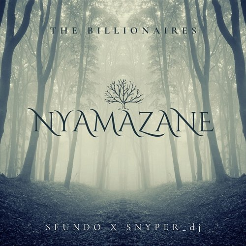 Nyamazane The Billionaires, Sfundo & Snyper_dj feat. MaBzar, Fredrum