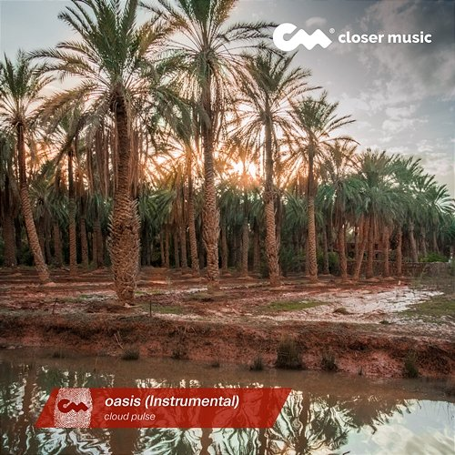 oasis cloud pulse