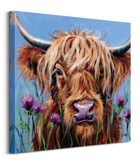 Obraz na płótnie Highlander Louise Brown na ścianę do salonu 60x60 cm Art Group