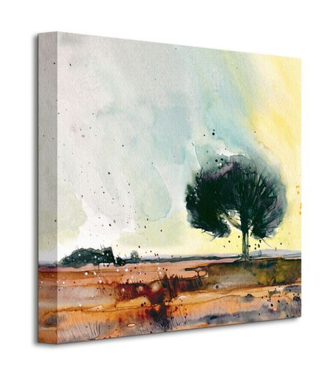 Obraz na płótnie New Forest Study Simon Howden na ścianę do salonu 40x40 cm Pyramid International