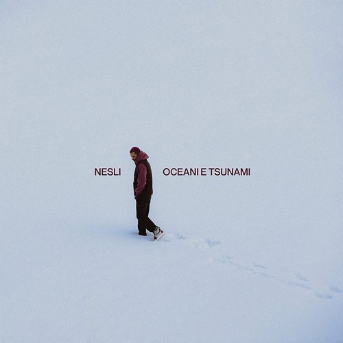 Oceani e tsunami Nesli