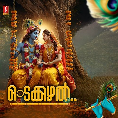 Odakkuzhal Simi Johnson, Shine Venkitangu