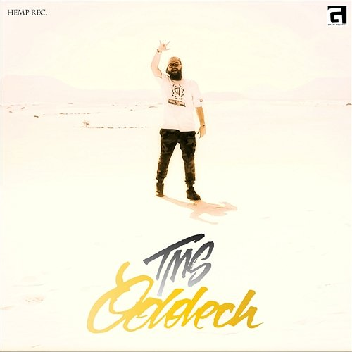 Oddech TMS