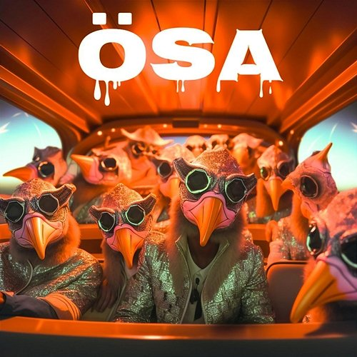 ÖSA Laser Inc., Raaban