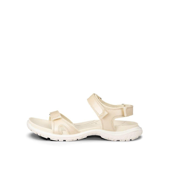 Offroad Roam Ecco
