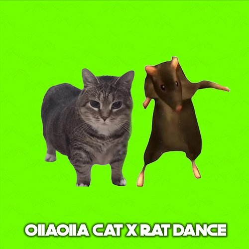 OIIAOIIA CAT x RAT DANCE Médio grave & Jb No Beat
