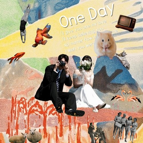 One Day Hong Young Gu (HYG)