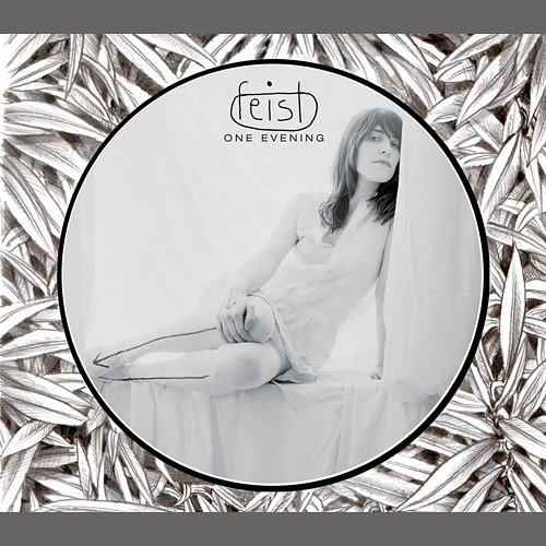 One Evening Feist