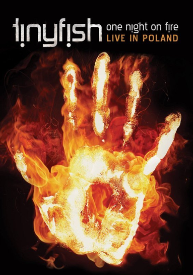 One Night On Fire Tinyfish
