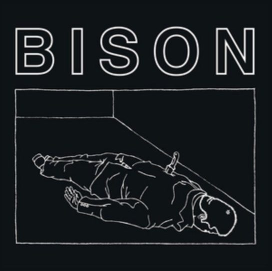 One Thousand Needles Bison