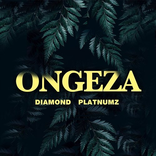 Ongeza Diamond Platnumz