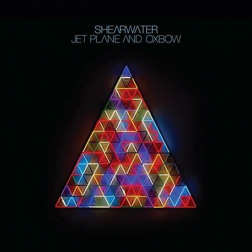 Only Child Shearwater