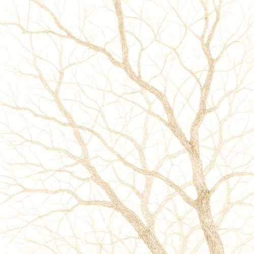 Open Mind Nali Oro