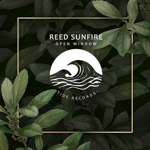 Open Window Reed Sunfire