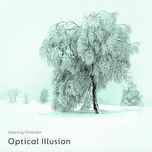 Optical Illusion Henning Flintholm