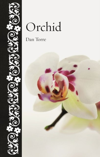 Orchid Dan Torre