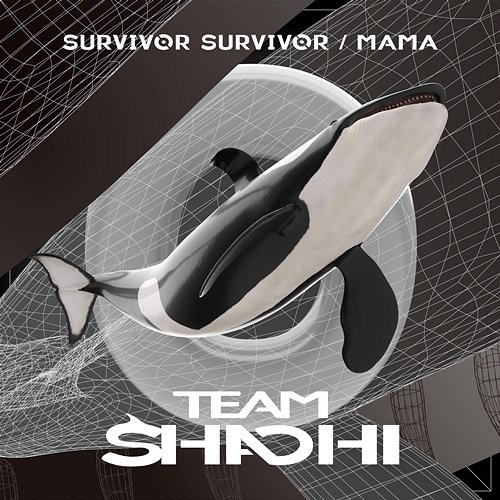 Orcinus orca TEAM SHACHI