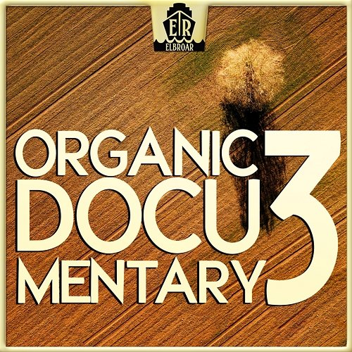 Organic Documentary 3 - Mixed Mallets Andreas Suttner