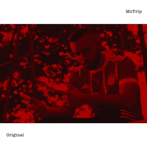Original MoTrip