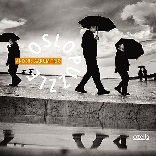 Oslo Puzzle Various Artists