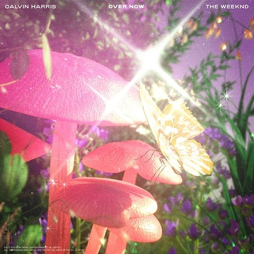Over Now Calvin Harris, The Weeknd