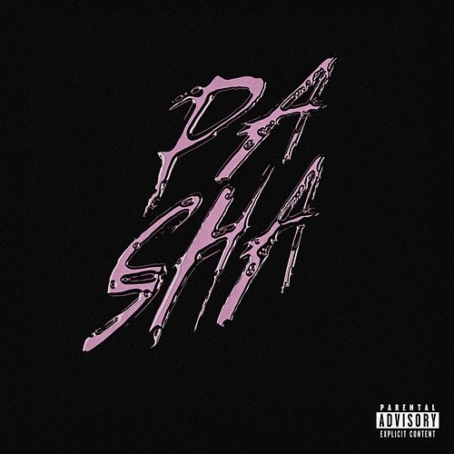 PA SHA La Flèche, Achille G & 4TheNight