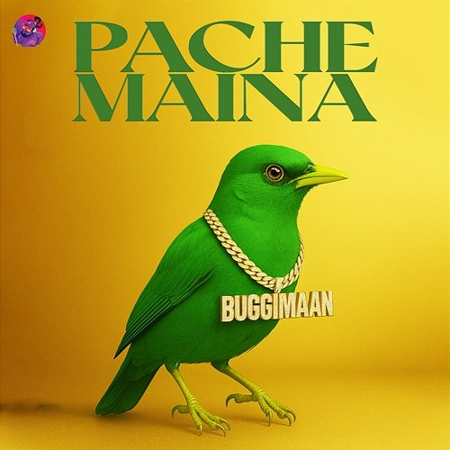 Pache Maina Buggimaan