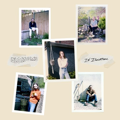 Paperback Writer Blossoms