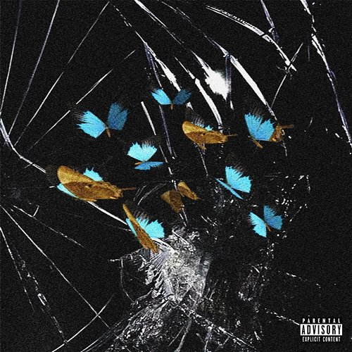 PAPILLON $auli