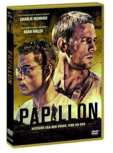 Papillon (Motylek) Noer Michael
