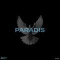 Paradis Blynk