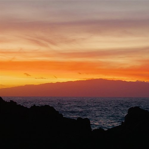 Paradise Jay Ocean