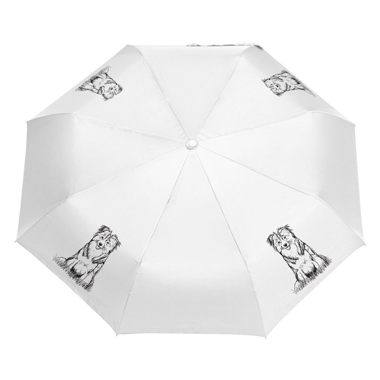 Parasol Border Collie szkic Biały Manu24