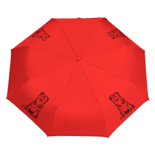 Parasol Border Collie szkic Czerwony Manu24