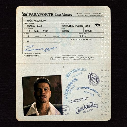 Pasaporte Rauw Alejandro, Mr. Naisgai