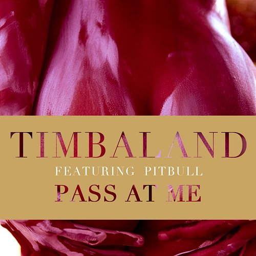 Pass At Me Timbaland feat. Pitbull