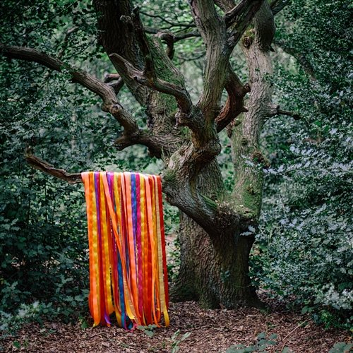Pass Through the Fire James Holden & The Animal Spirits