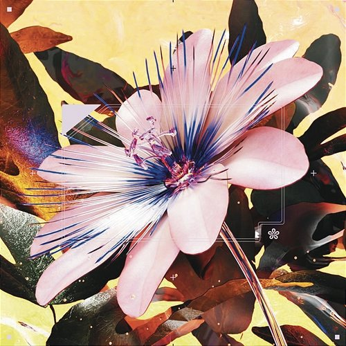 Passionfruit Prudence