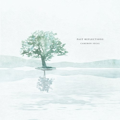 Past Reflections Cameron Segal