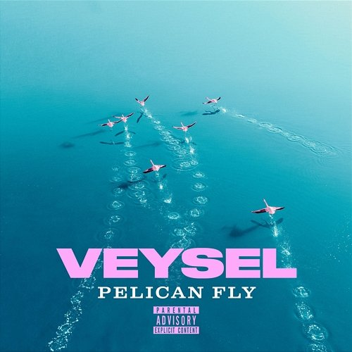 PELICAN FLY Veysel, Miksu, Macloud