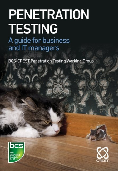 Penetration Testing Hayes James