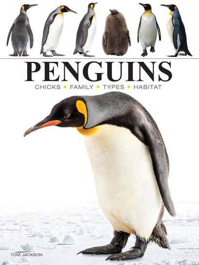 Penguins Jackson Tom