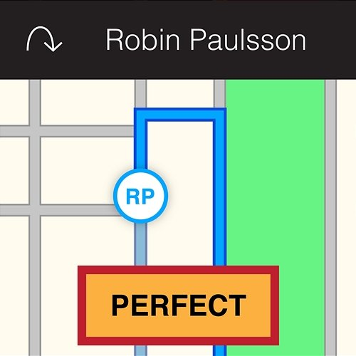 Perfect Robin Paulsson
