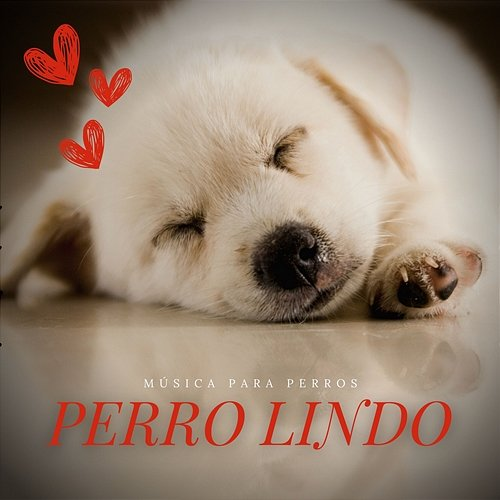 Perro Lindo Música para perros