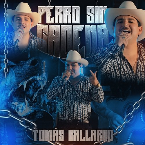 PERRO SIN CADENA Tomas Ballardo