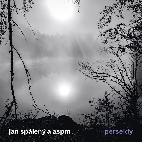 Perseidy Jan Spálený & ASPM