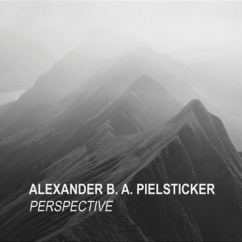 Perspective Alexander B. A. Pielsticker