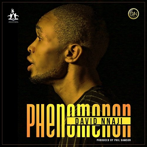 Phenomenon David Nnaji