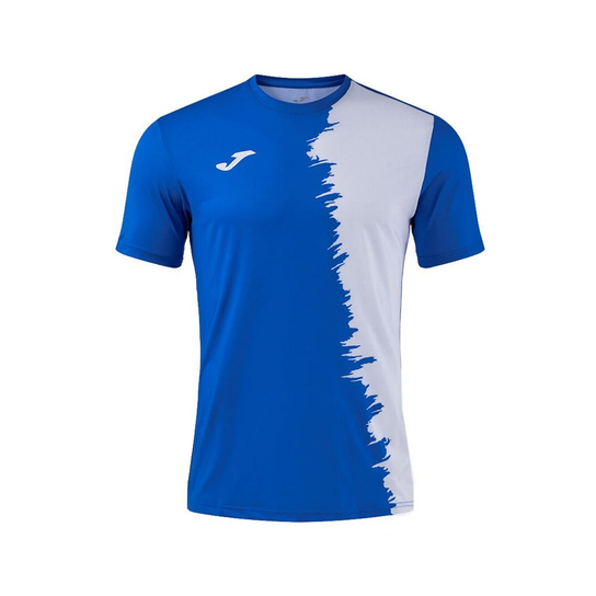 Pichasio Joma