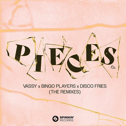 Pieces VASSY x Bingo Players x Disco Fries